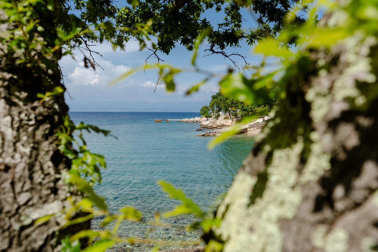 Kamp glavotok Kamp glavotok